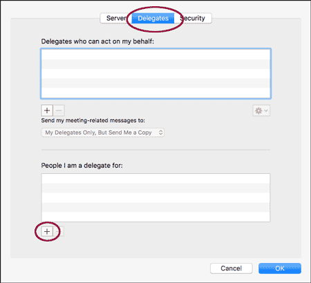 Delegate tab in Outlook advanced settings
