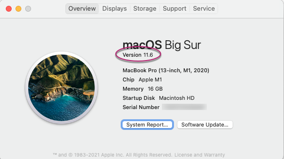 About this Mac Overview tab with OS version 11.6 highlighted