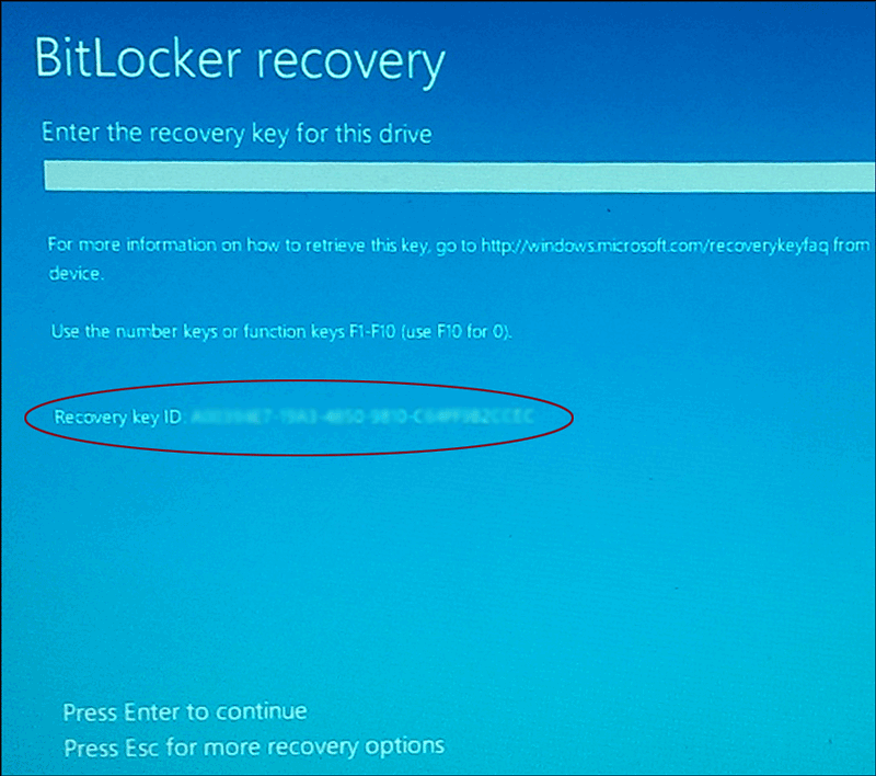 Windows 10 BitLocker Recovery Key ID on screen