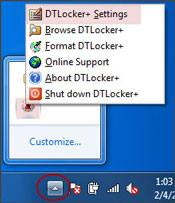 DTL Settings Link in Windows