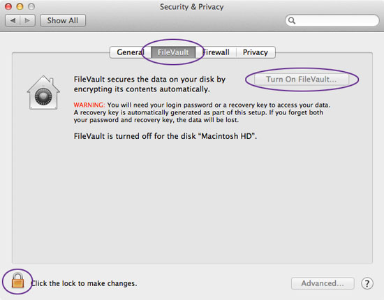 FileVault in Security and Privacy