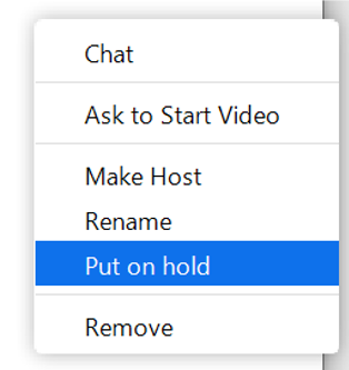 Put on Hold in Participants - More menu