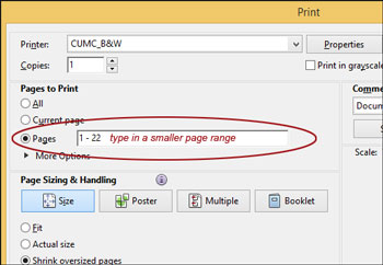 Windows Print Pages option